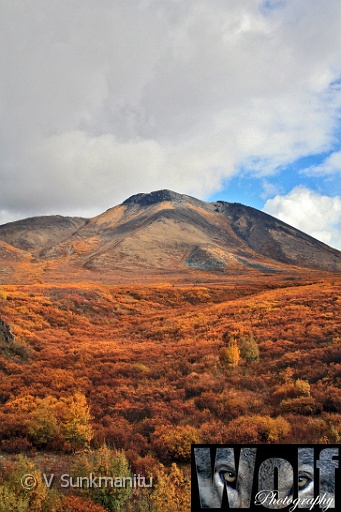Yukon wilderness 008 Copyright Villayat Sunkmanitu.jpg